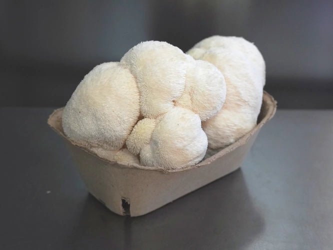 Fresh Mushrooms - 2/22 Pickup